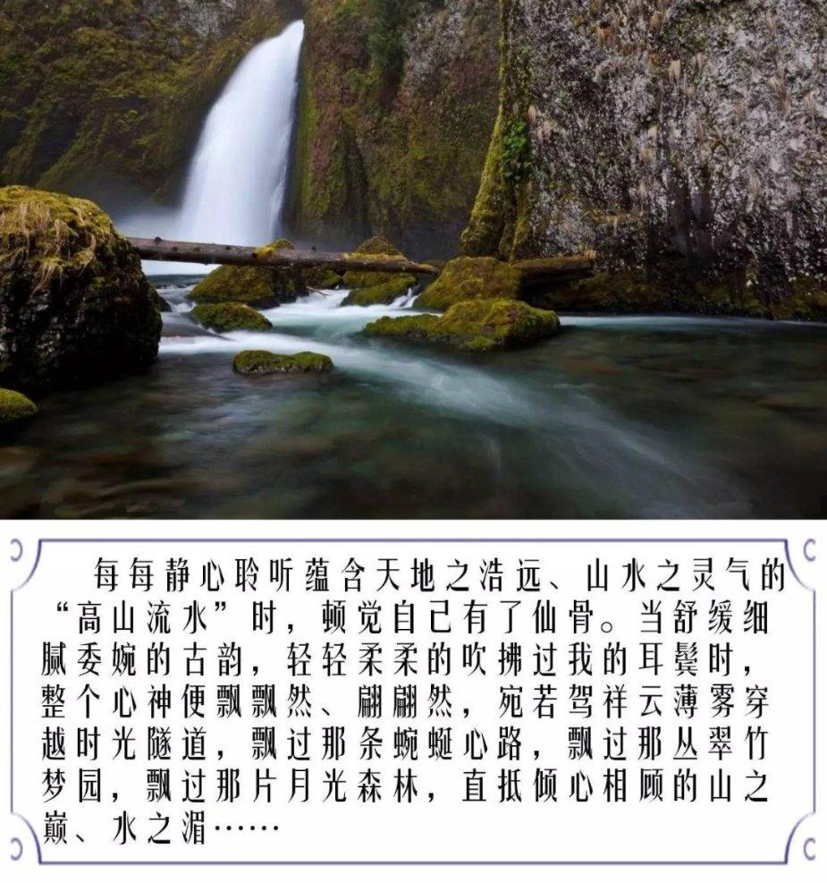 战斗机的反击